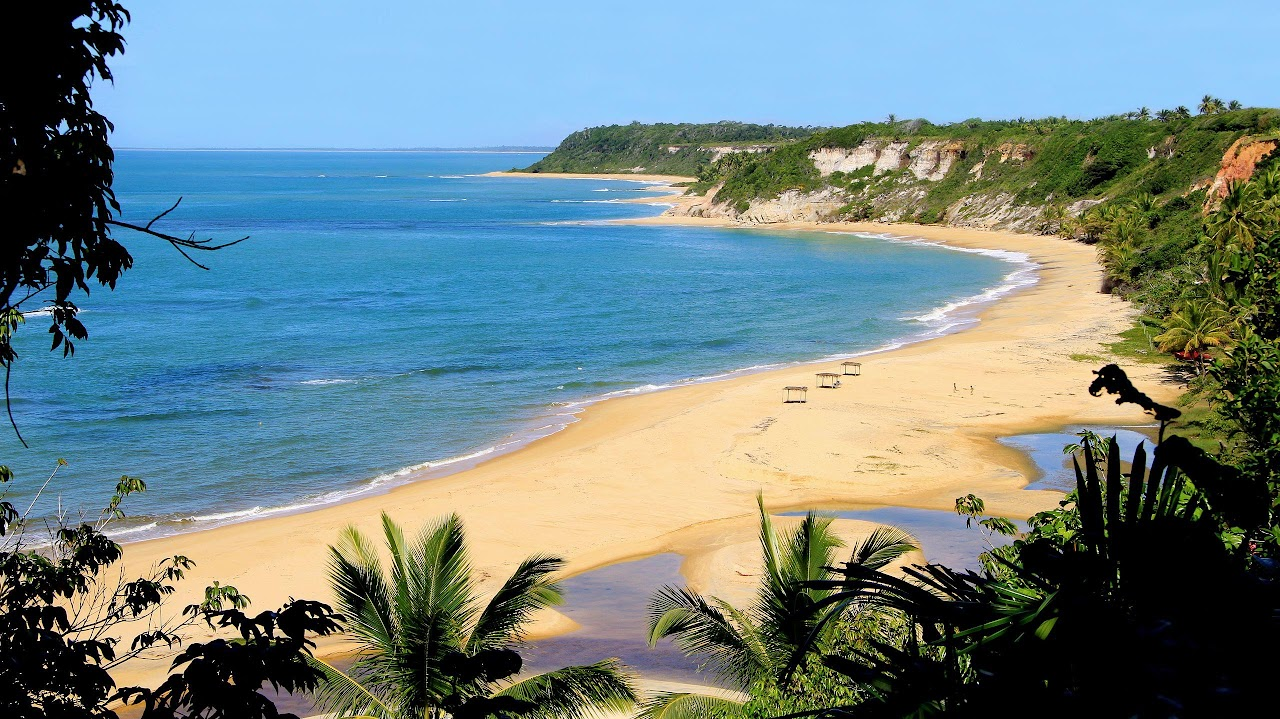 imagem_2024-12-12_140658063